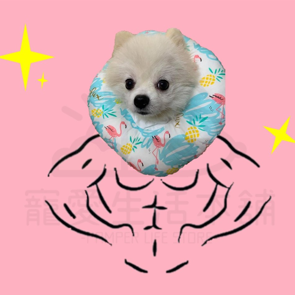 【寵愛生活本舖】寵物伊莉莎白棉質頭套 防舔圈 羞恥圈 XS-4XL 術後 甜甜圈頭套, , large