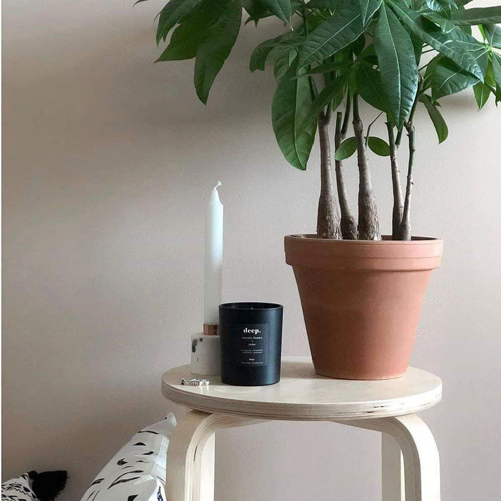 wxy BLACK- deep.Narcotic Flowers + Cedar, , large