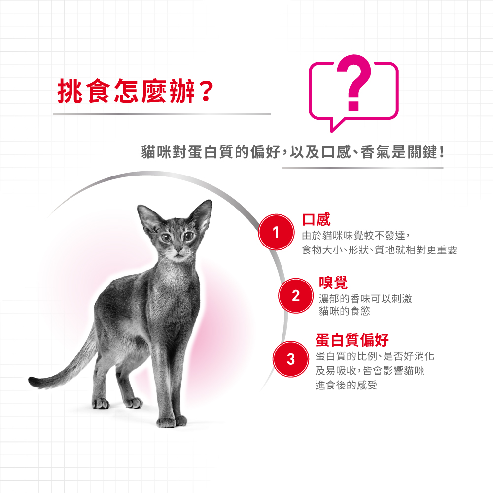 【拉拉寵物小舖】法國皇家 貓飼料 E33 挑嘴成貓濃郁香味乾糧 4公斤, , large