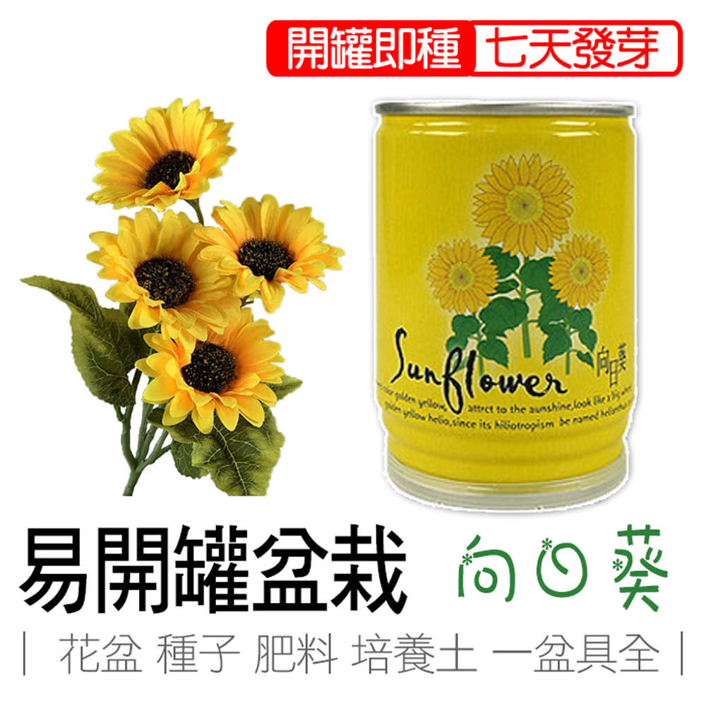 【心安購物】iPlant易開罐盆栽-向日葵, , large