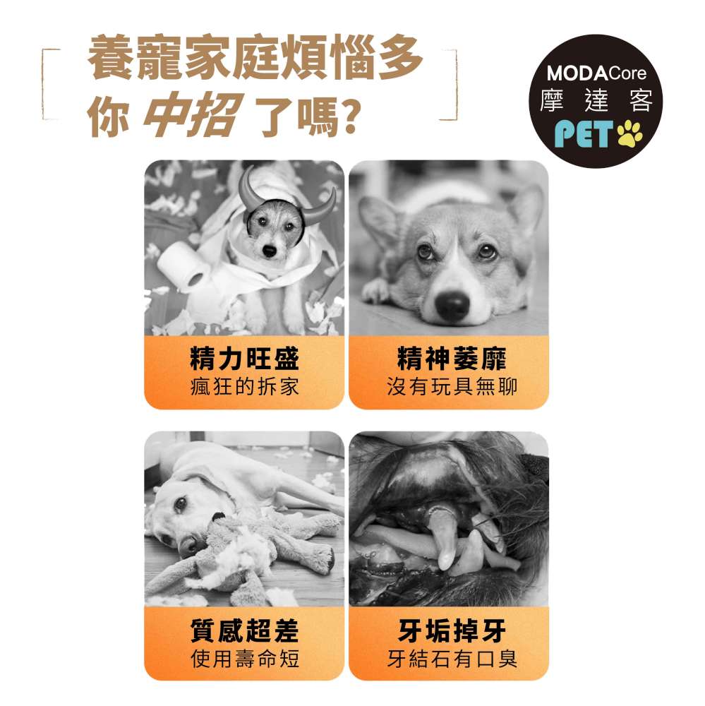 摩達客寵物-狗貓紓壓磨牙玩具-小怪獸+圈圈兩件C組-潔齒自嗨耐咬解悶寵物玩具, , large