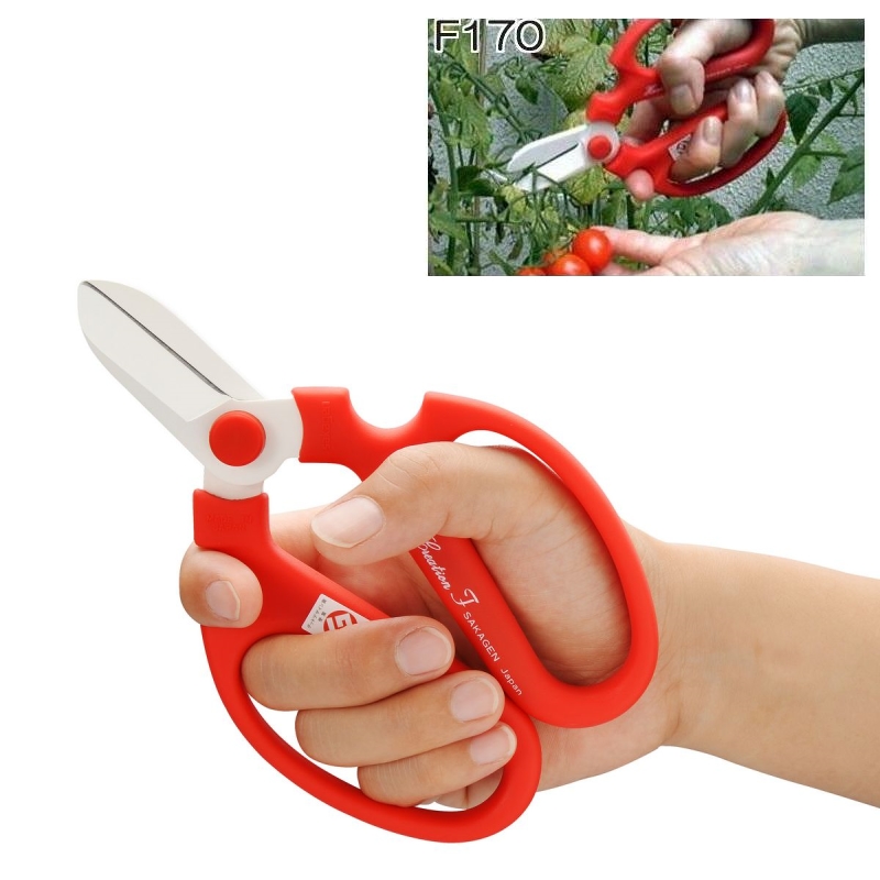 日本製坂源花藝剪刀F-170 白刃花剪 修枝剪 園藝剪刀 插花剪刀 花束生花鋏, , large