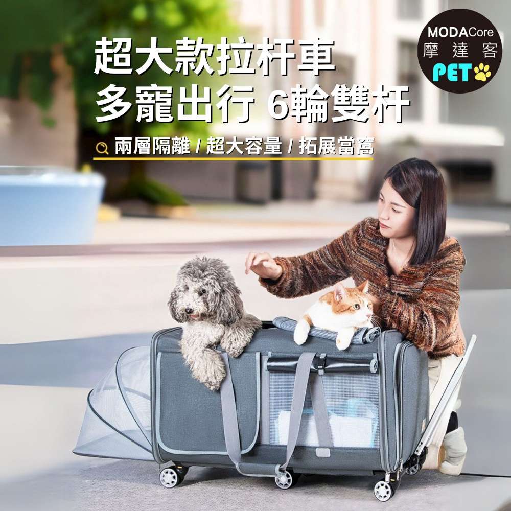 PET CAR, , large