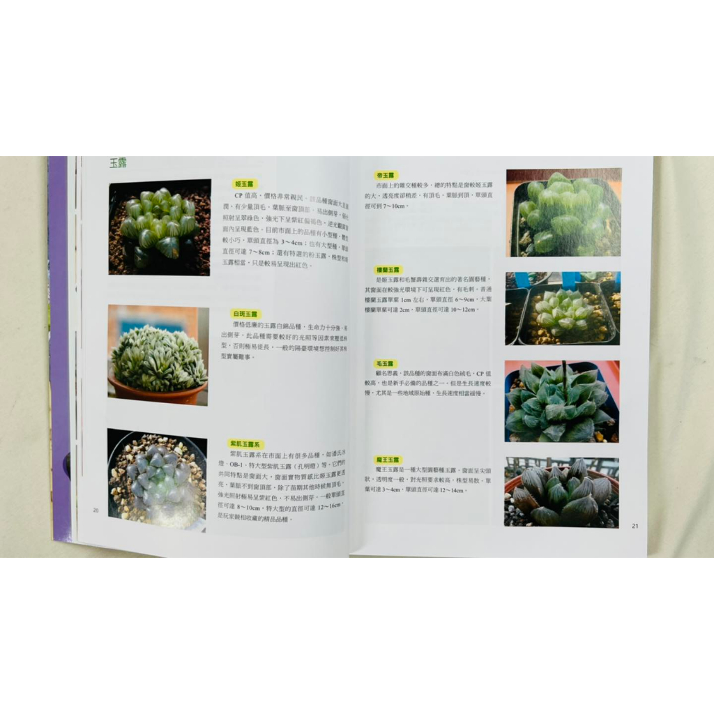 《南門書局》多肉植物系列2本, , large