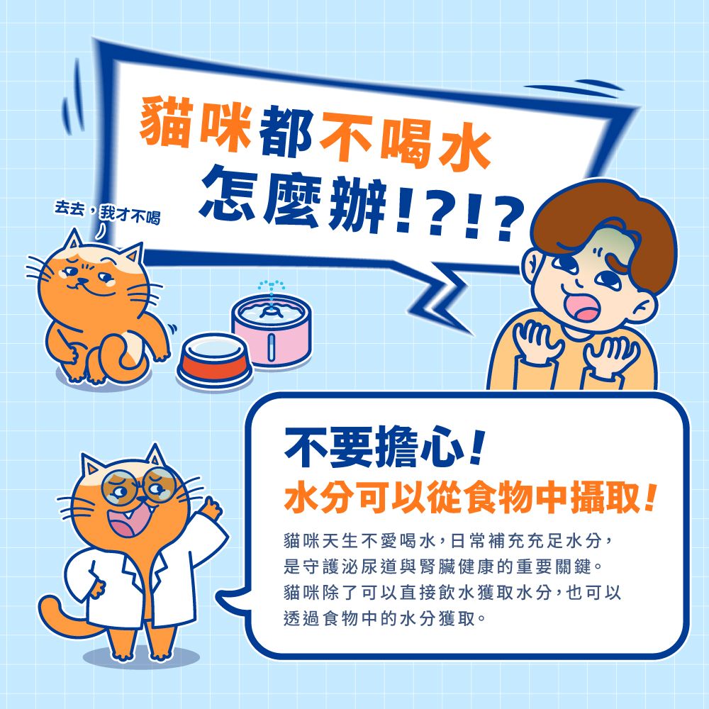 【拉拉寵物小舖】PAW PAW LAND 肉球世界 補水炸彈 主食餐包 貓餐包 雞牛X蔬果酵素粉&乳桿菌45g  主食餐包, , large