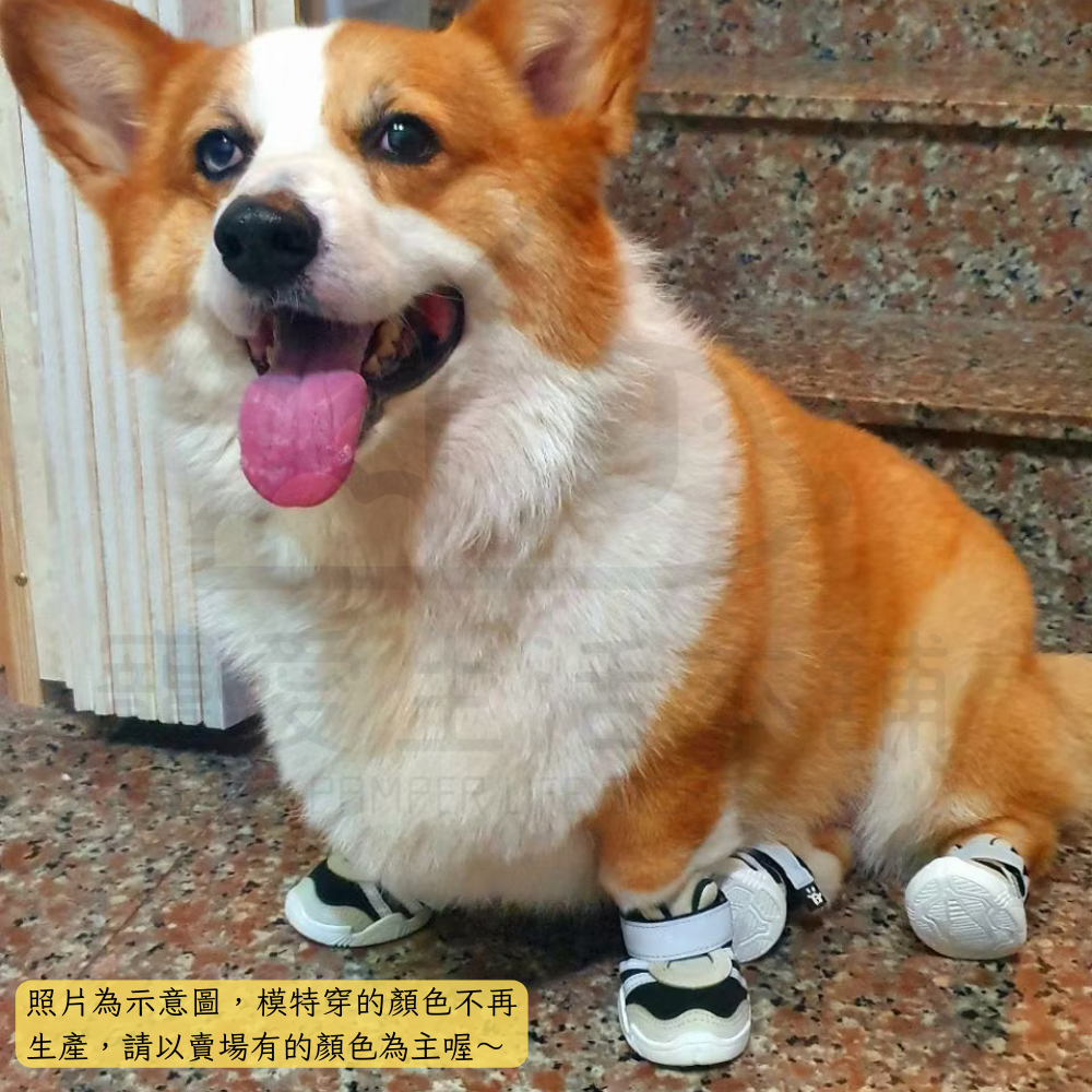 【寵愛生活本舖】短筒內裡止滑狗狗運動鞋（訂製款） 狗狗鞋子, , large