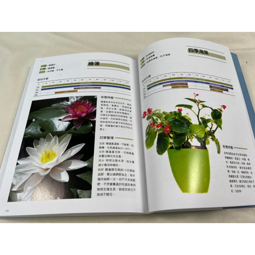 《南門書局》新手陽台種花+種菜+從菜場到餐桌, , large