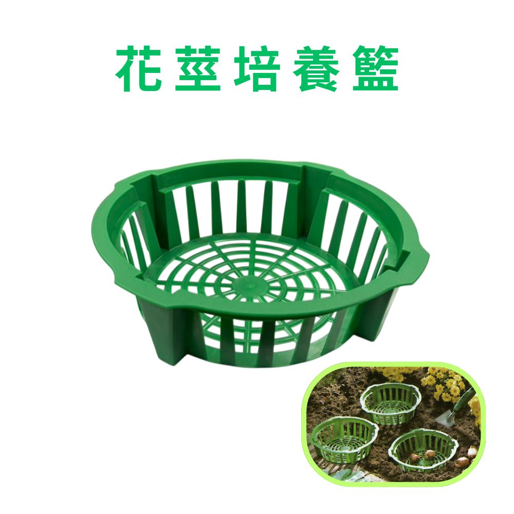 金德恩 GS MALL 台灣製造 花莖培養籃 球莖種植籃 球根花卉籃 花球莖籃 洋蔥植物籃 花球莖碗 植物碗 繁殖托盤, , large