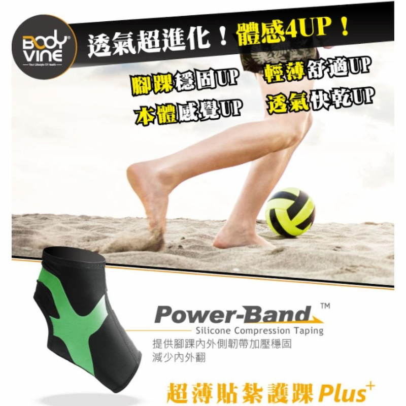 CT-12520-1L, , large