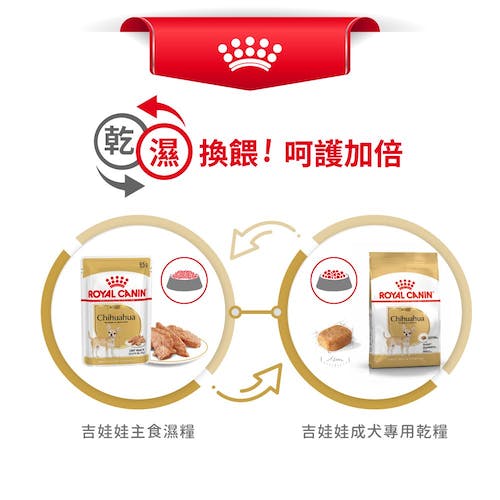 【拉拉寵物小舖】法國皇家 狗主食餐包 CHW 吉娃娃主食濕糧 狗主食濕糧, , large