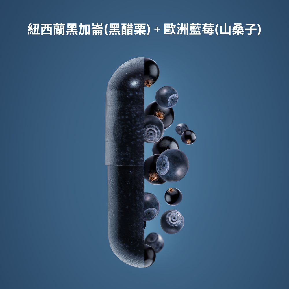 挪威北極熊三倍濃縮魚油一瓶+Medox 莓達斯花青素膠囊一盒, , large