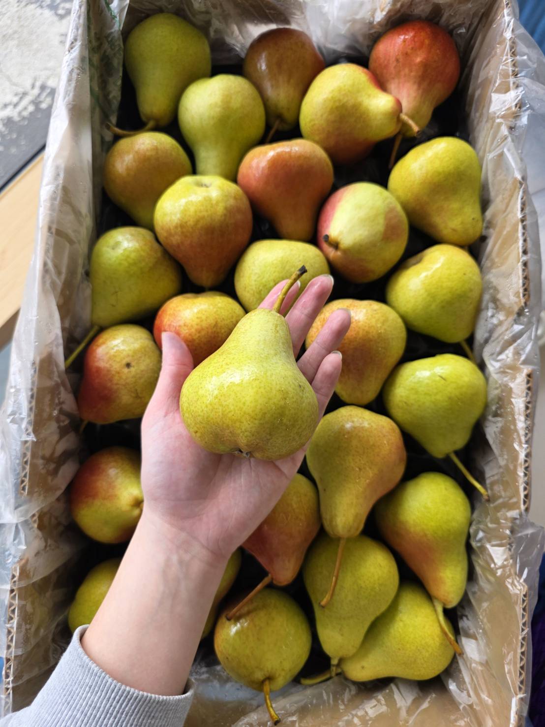 [芯鮮果]紐西蘭 ( 啤梨-西洋梨 ), , large