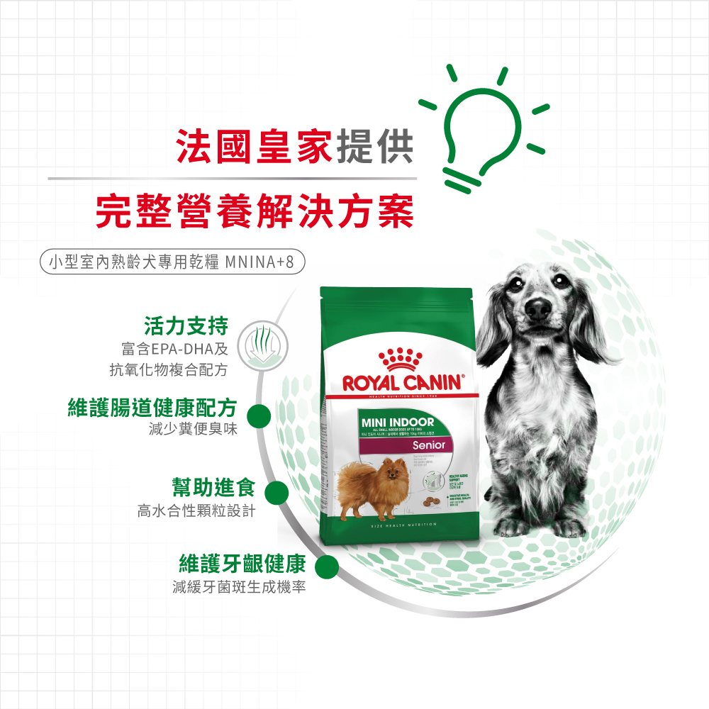 Royal Canin法國皇家小型室內熟齡犬8+MNINA+8, , large