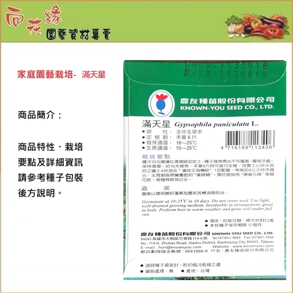 【向花緣】農友 滿天星 - 花卉種子, , large