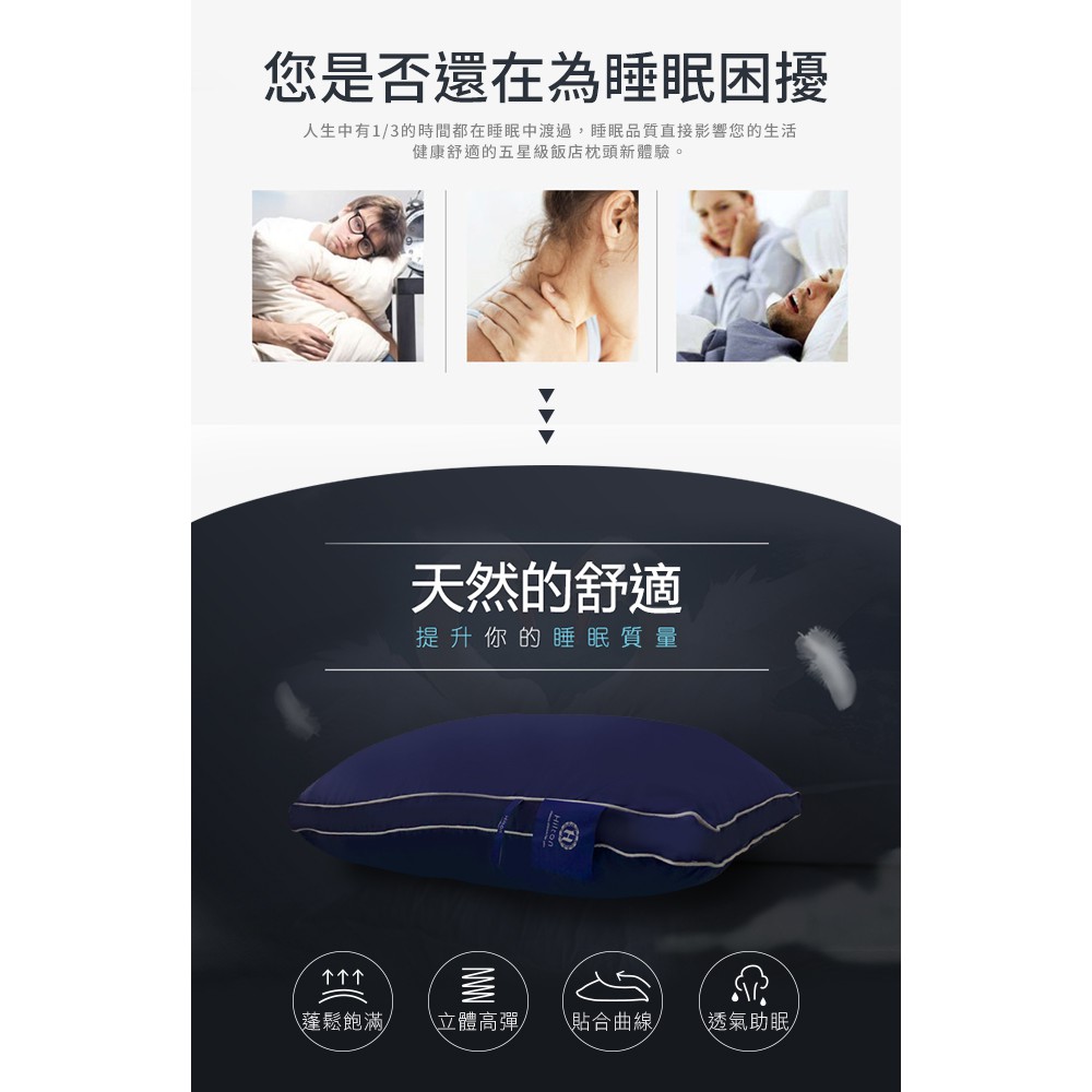 【Hilton 希爾頓】雙滾邊設計純棉立體枕柔軟蓬鬆舒適睡眠民宿, , large
