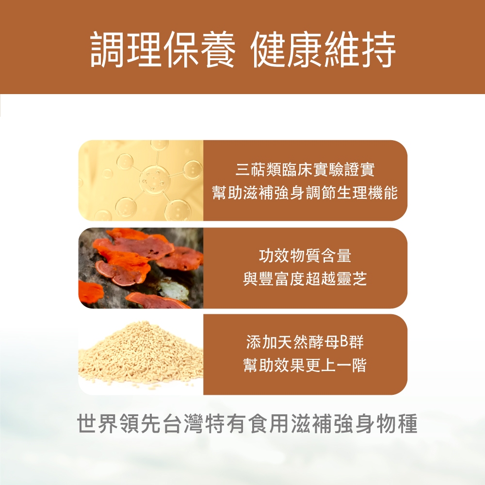 【FJ豐傑生醫】牛樟芝菌絲體膠囊30顆/袋-全球領先通過美國NDI核准上市牛樟芝, , large