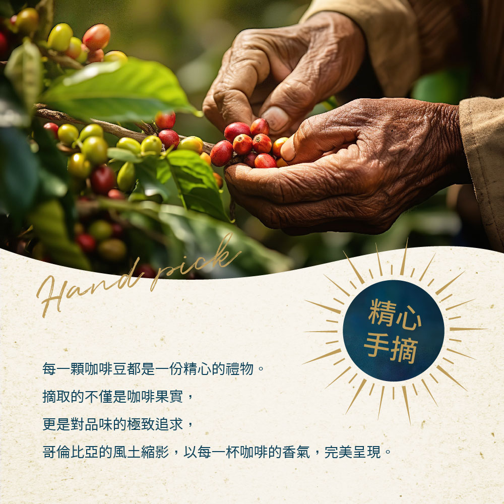 【囍瑞】有機濾掛式咖啡(10g*7包), , large