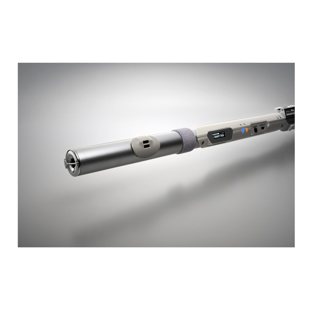 Roland Aerophone AE-Brisa, , large