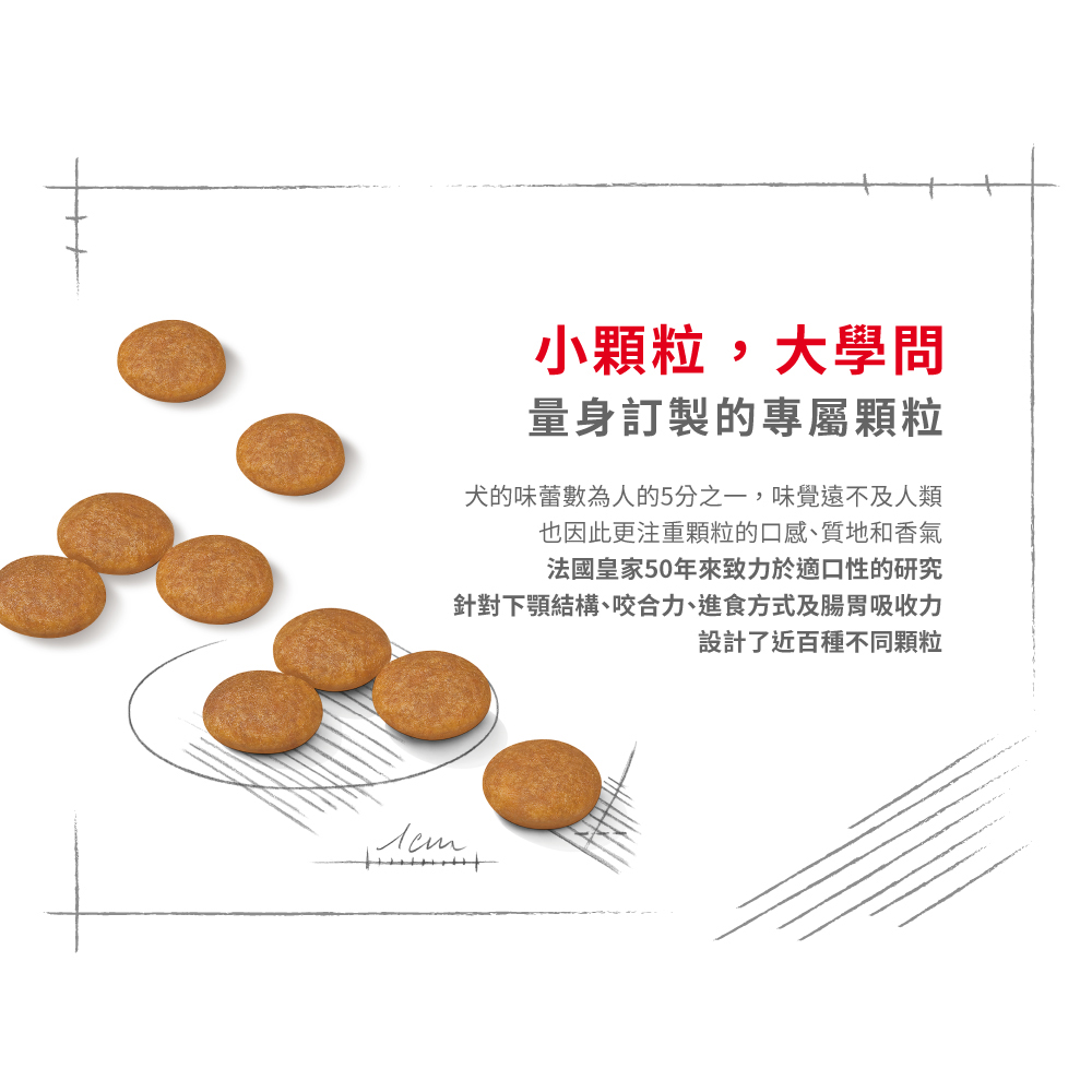 CCN Skin Care for Small Adult Dogs DMMN, , large