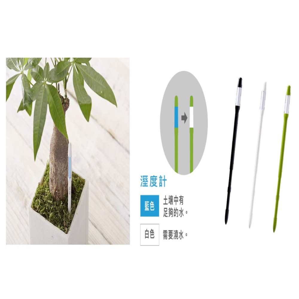 【向花緣】SUSTEE土壤濕度計 日本原裝進口(智慧型監測計、無須安裝電池)  綠色 - L