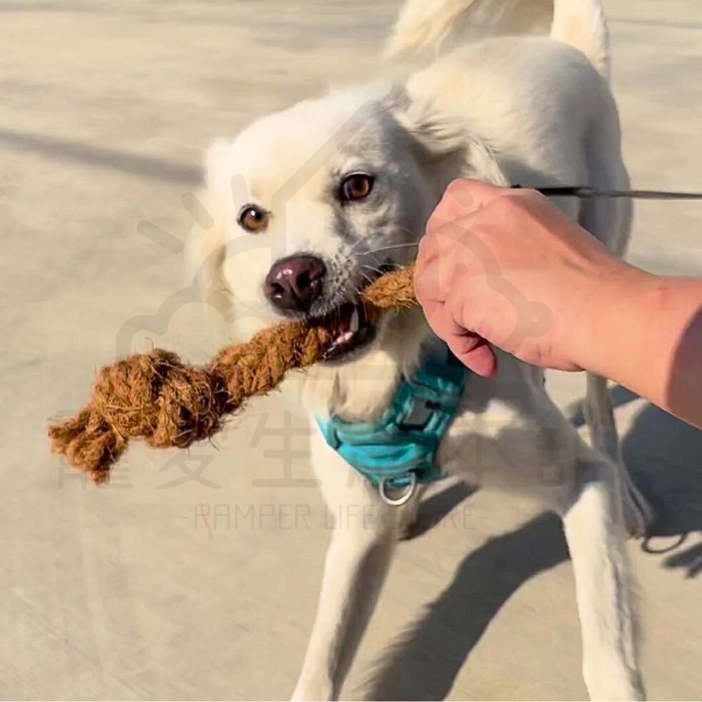 【寵愛生活本舖】天然椰子纖維結繩 寵物磨牙玩具 小動物磨牙繩 三種尺寸, , large
