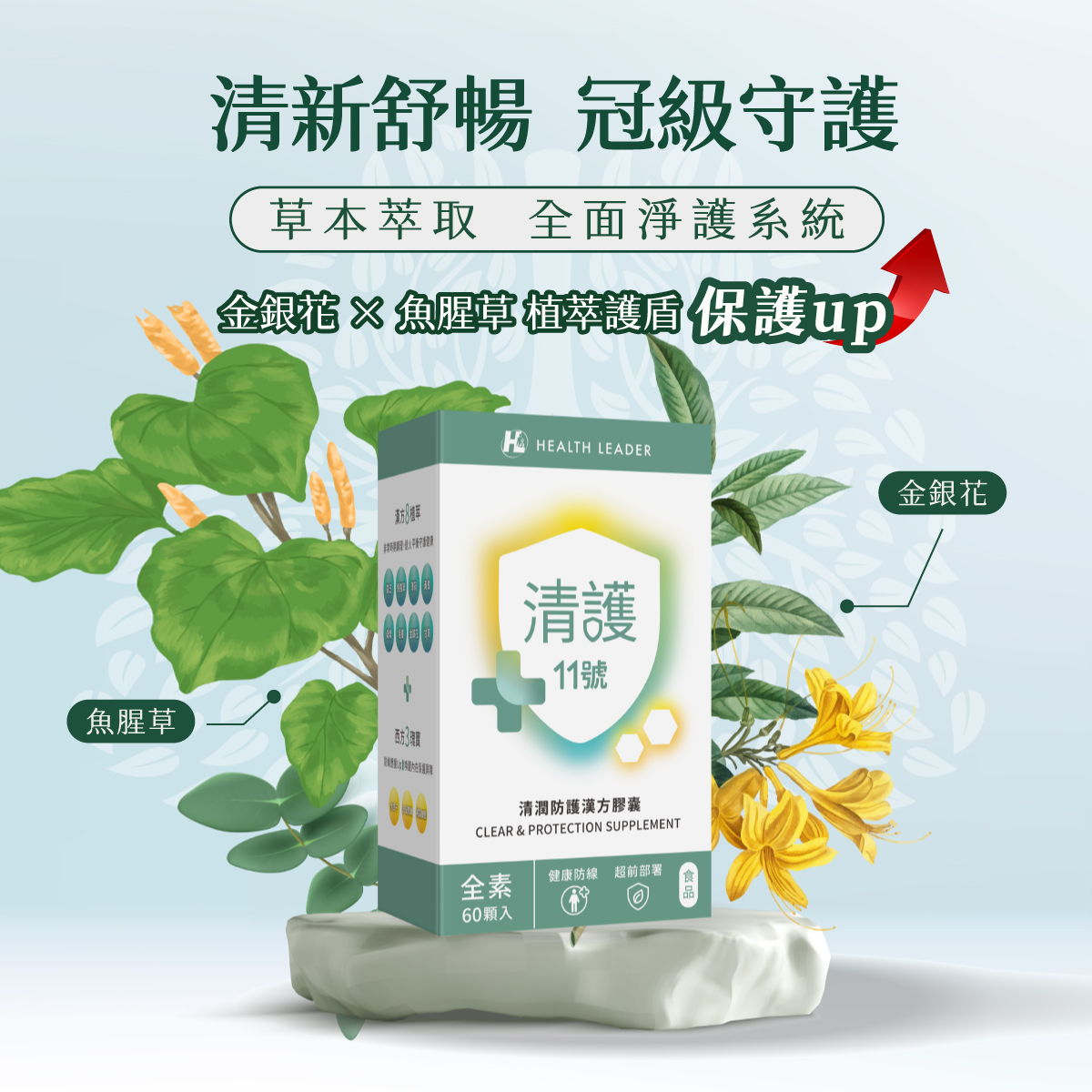 clear & protection supplement, , large