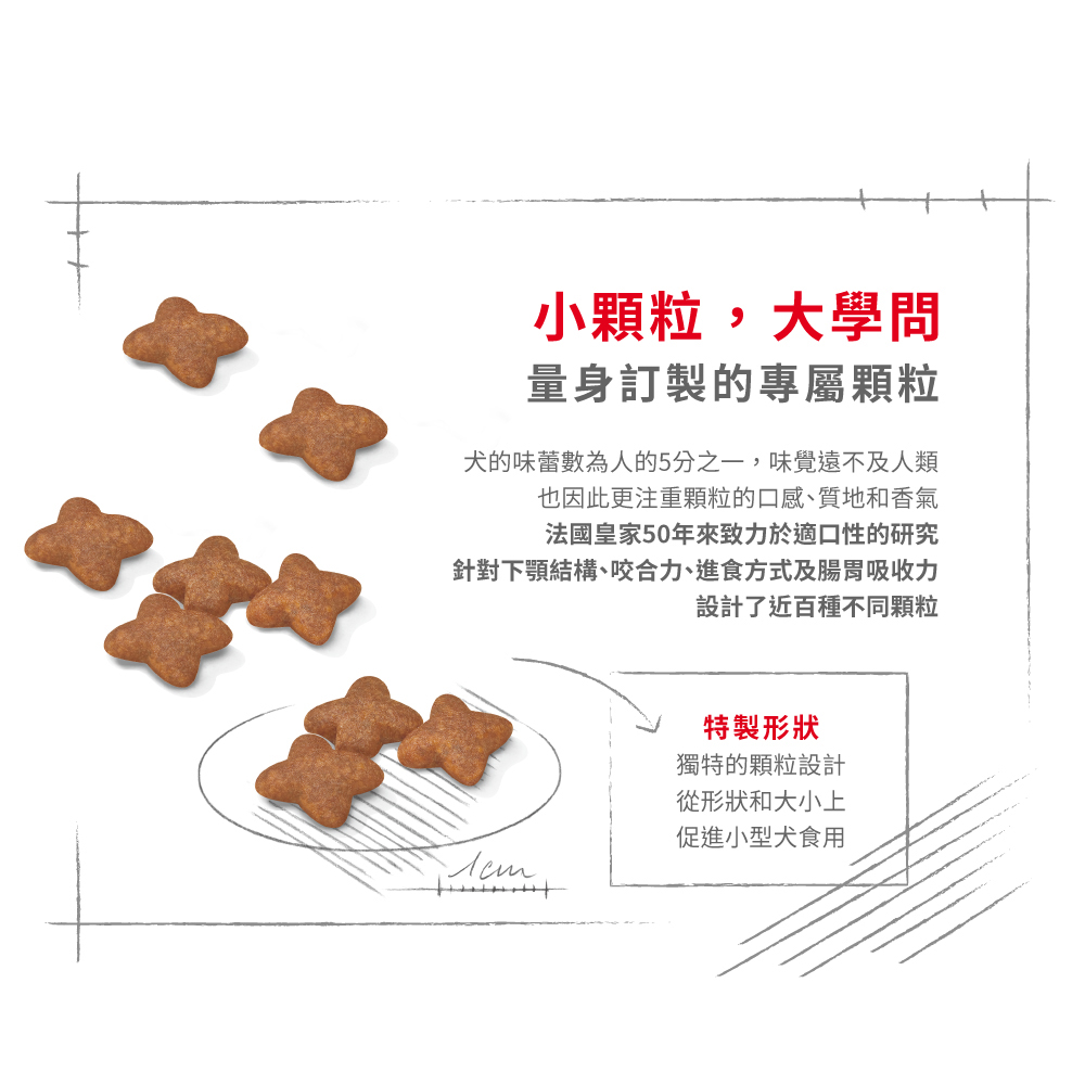 【Royal Canin法國皇家】小型成犬MNA, , large