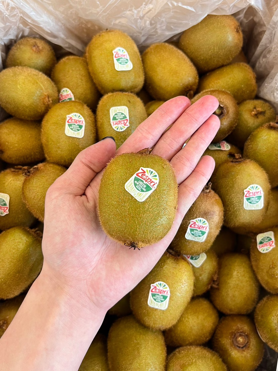 New Zealand Green Kiwifruit, , large