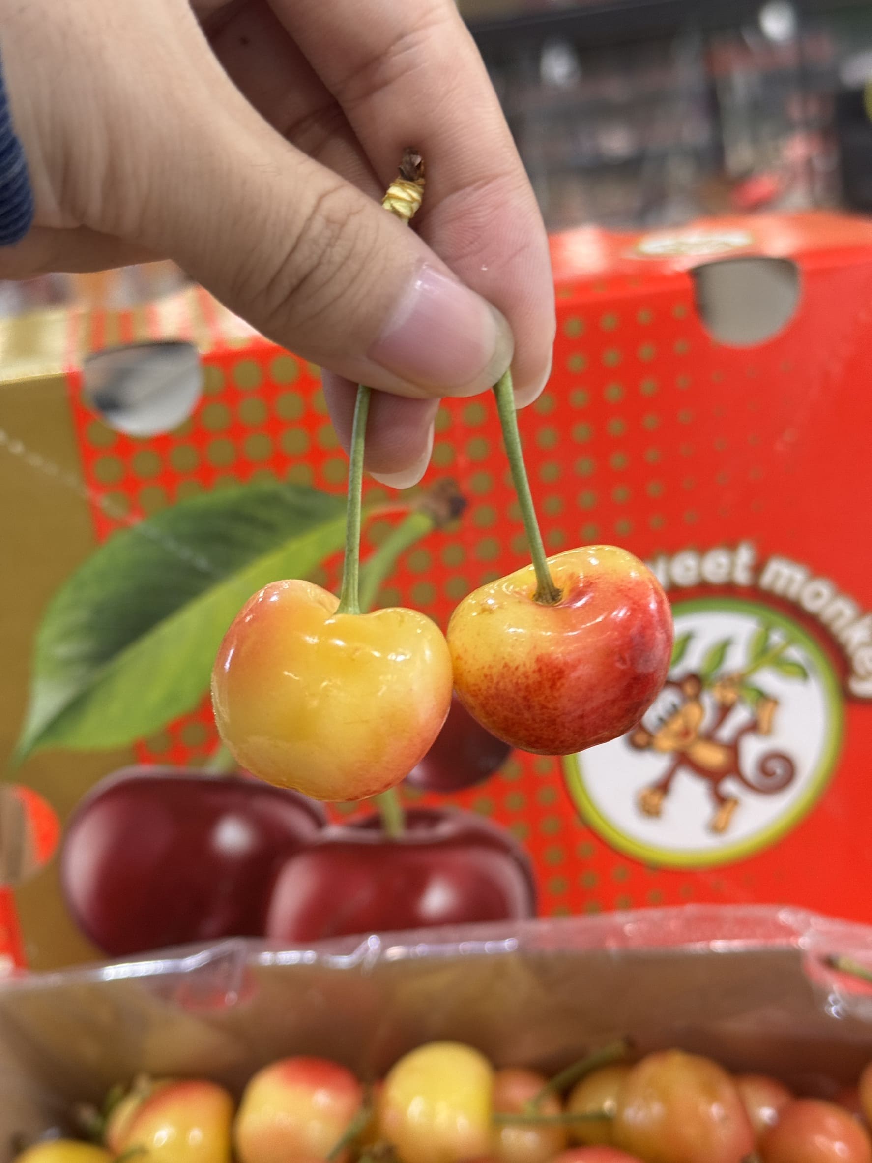 Rainier White Cherry, , large