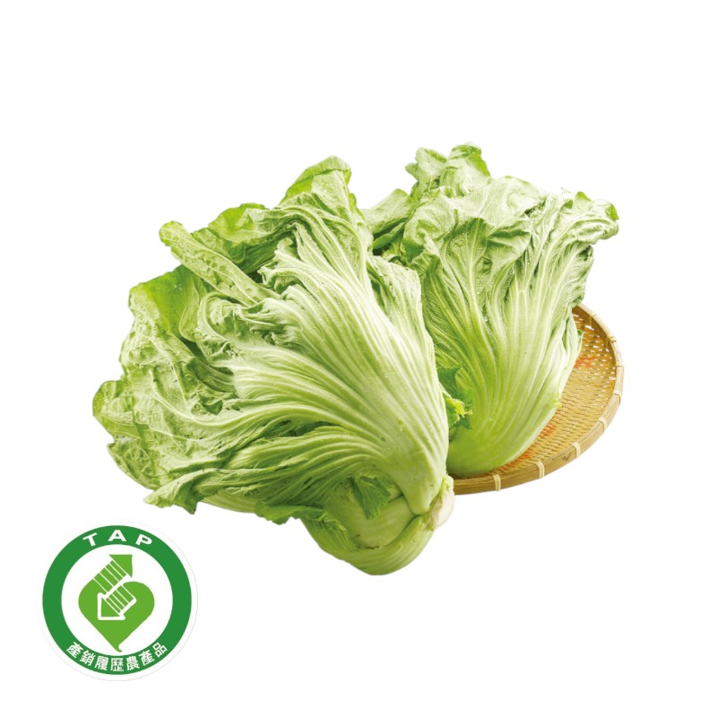 履歷長年芥菜700g