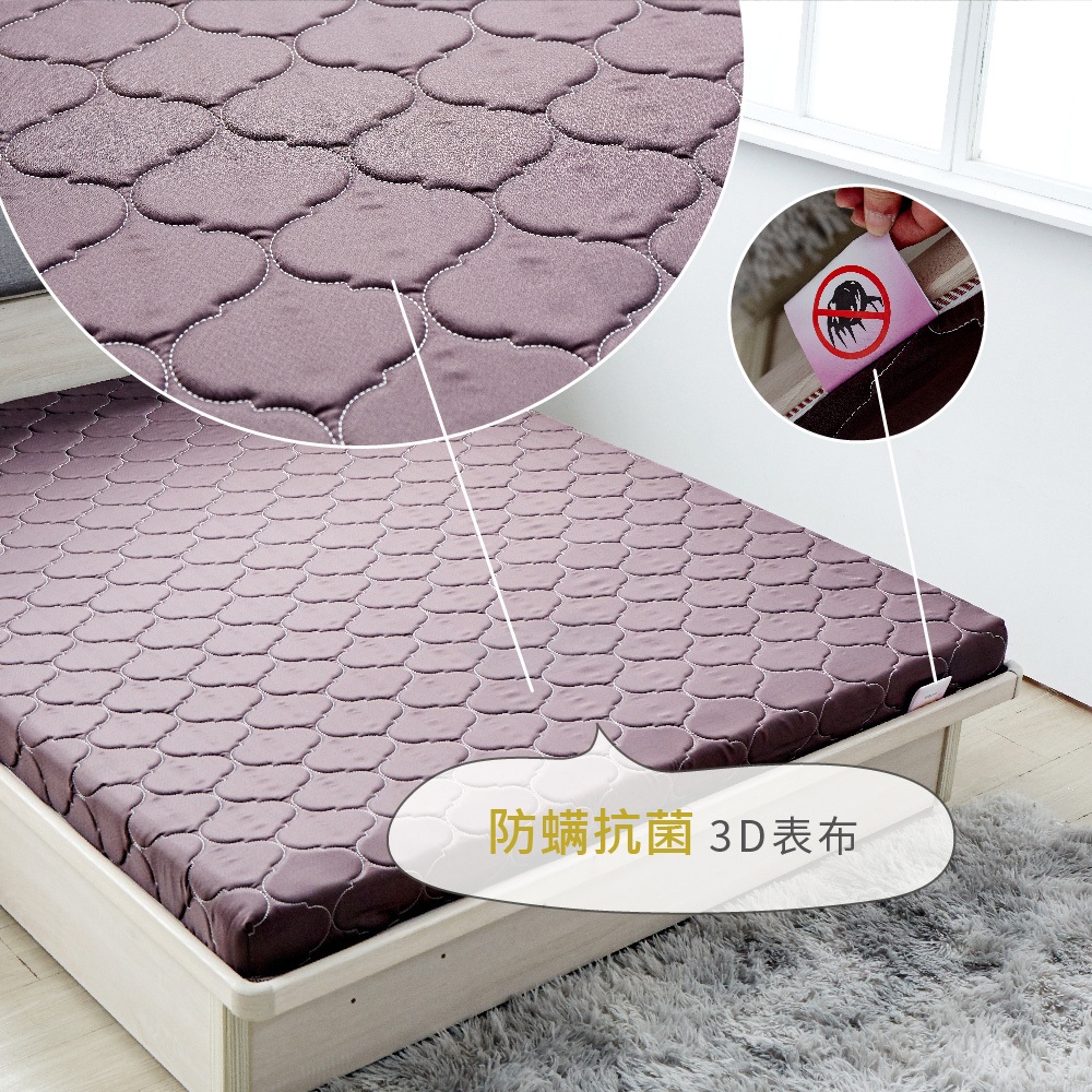 台灣製【藤原傢俬】冬夏兩用護背防螨抗菌10 cm彈簧床墊-硬, , large