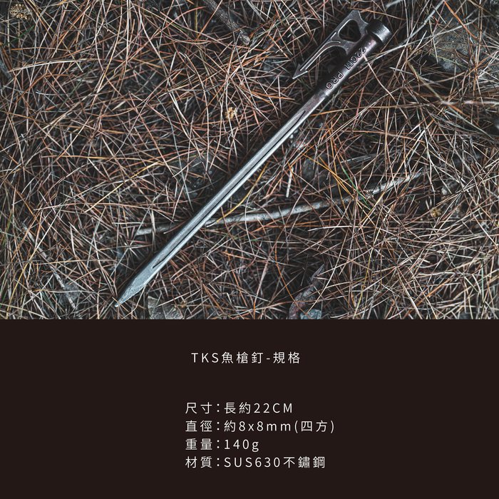 【TKS】魚槍釘 22cm 營釘 不鏽鋼釘 營釘 不銹鋼營釘 地釘 釘子 帳篷釘 露營, , large