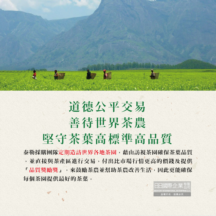 [日日好物]英國Taylors泰勒茶-Yorkshire約克夏茶紅牌紅茶包80入裸包/盒(適合沖煮香醇鮮奶茶), , large