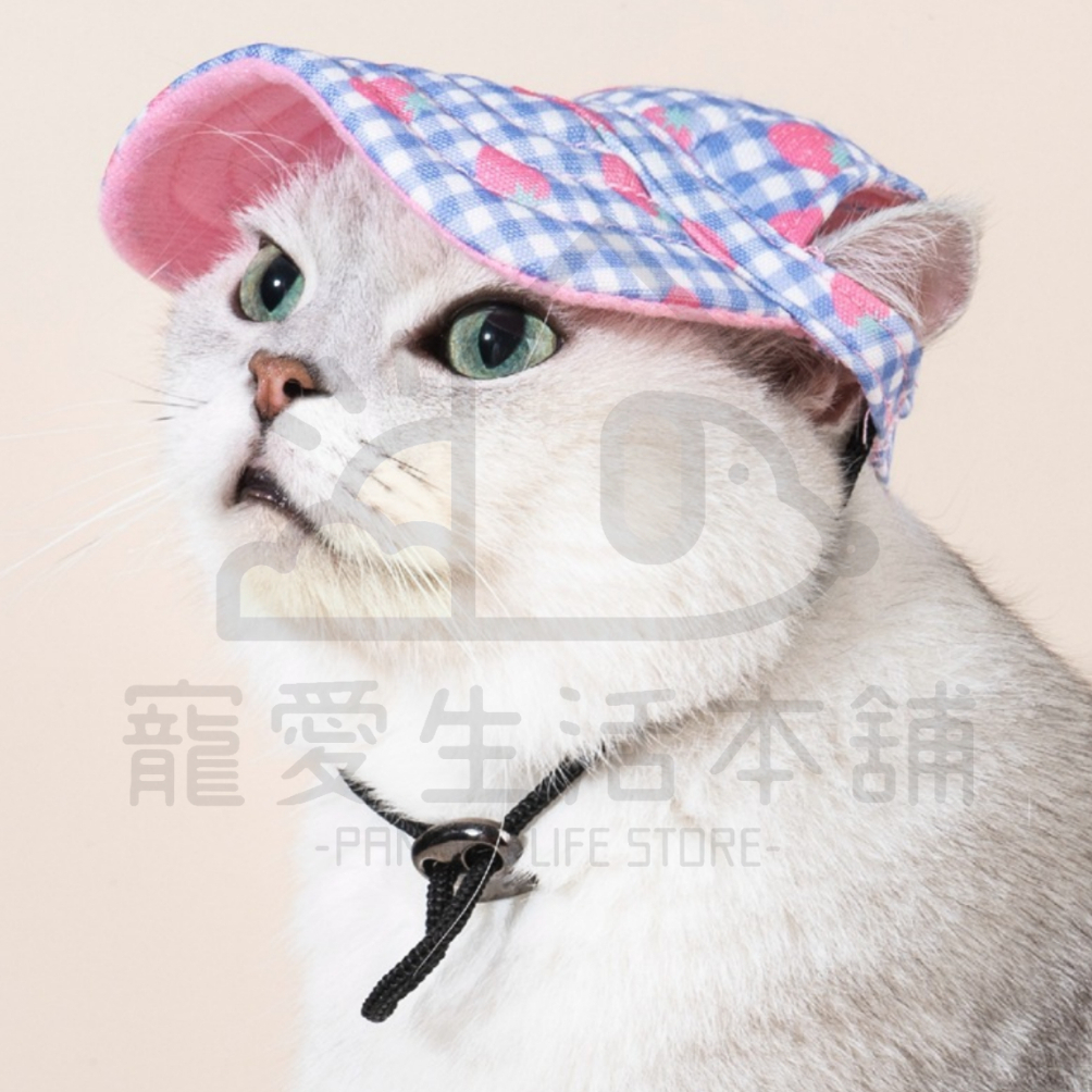 【寵愛生活本舖】寵物帆布遮陽休閒帽S-XL 狗狗帽子 貓咪帽子 寵物帽子, , large