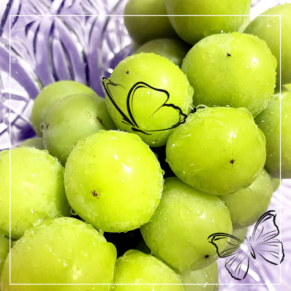 Korean Muscat Grape Gift Box, , large