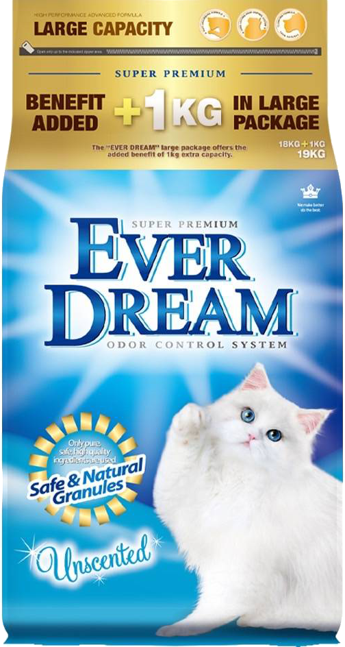 EVER DREAM, , large