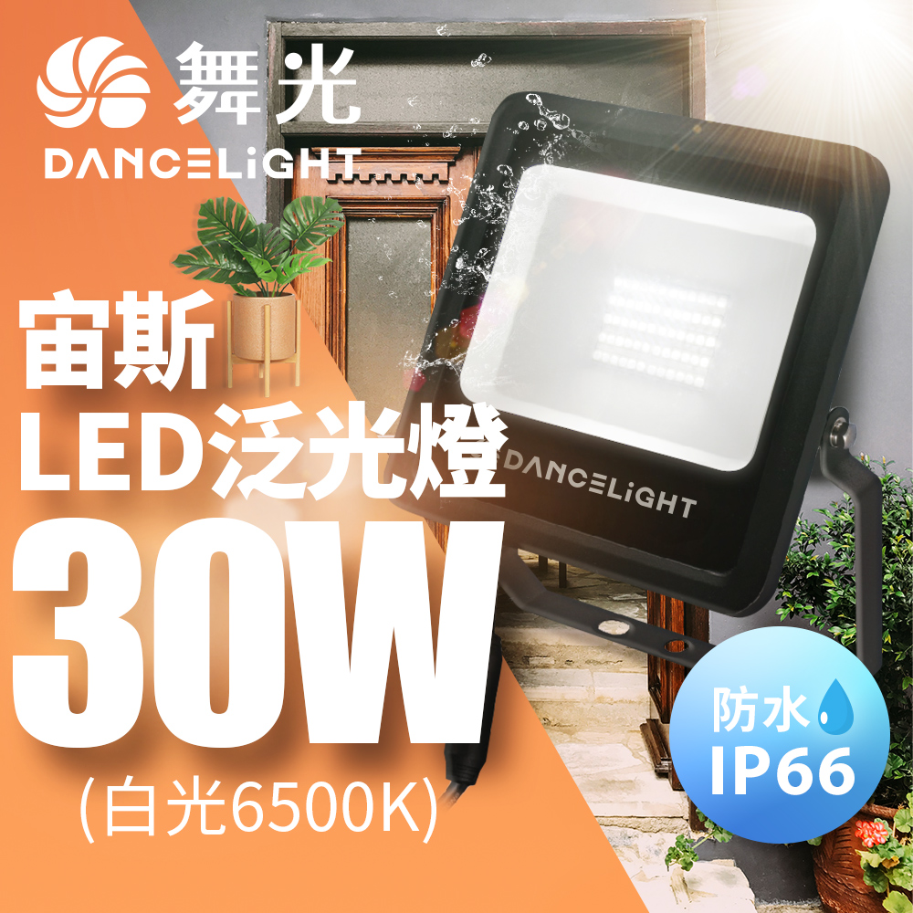 DanceLight舞光 防風防水 高亮度 發光140度 戶外 宙斯30W泛光燈 投光燈(白光/黃光), , large