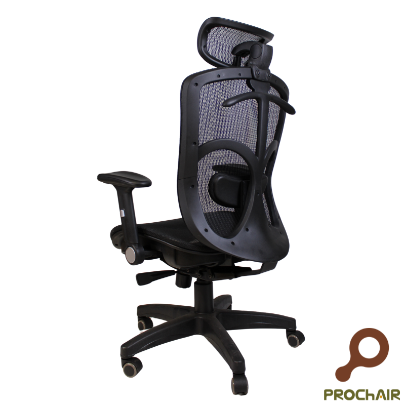 [PROChAIR椅子多]Richard膽氣椅(全網椅)電腦椅/辦公椅/人體工學椅, , large