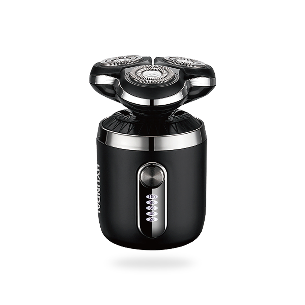 Electric shaver