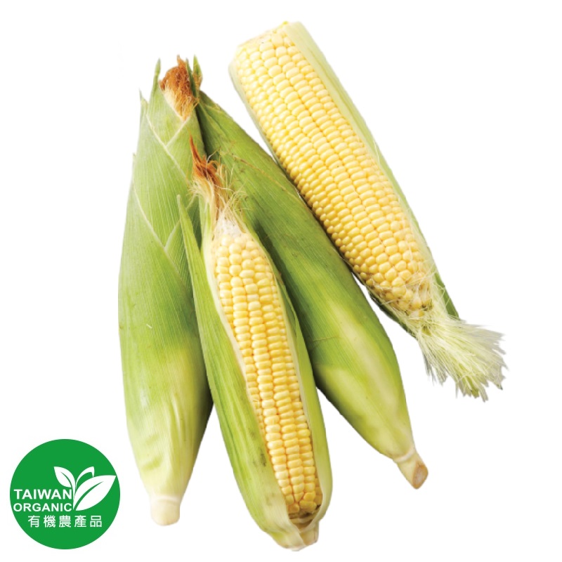 Organic Sweet Corn, , large