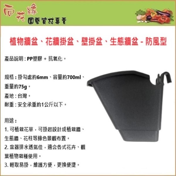 Wind-Resistant Plant Wall Planter / Wall-Mounted Flower Pot / Vertical Green Wall Pot, , large