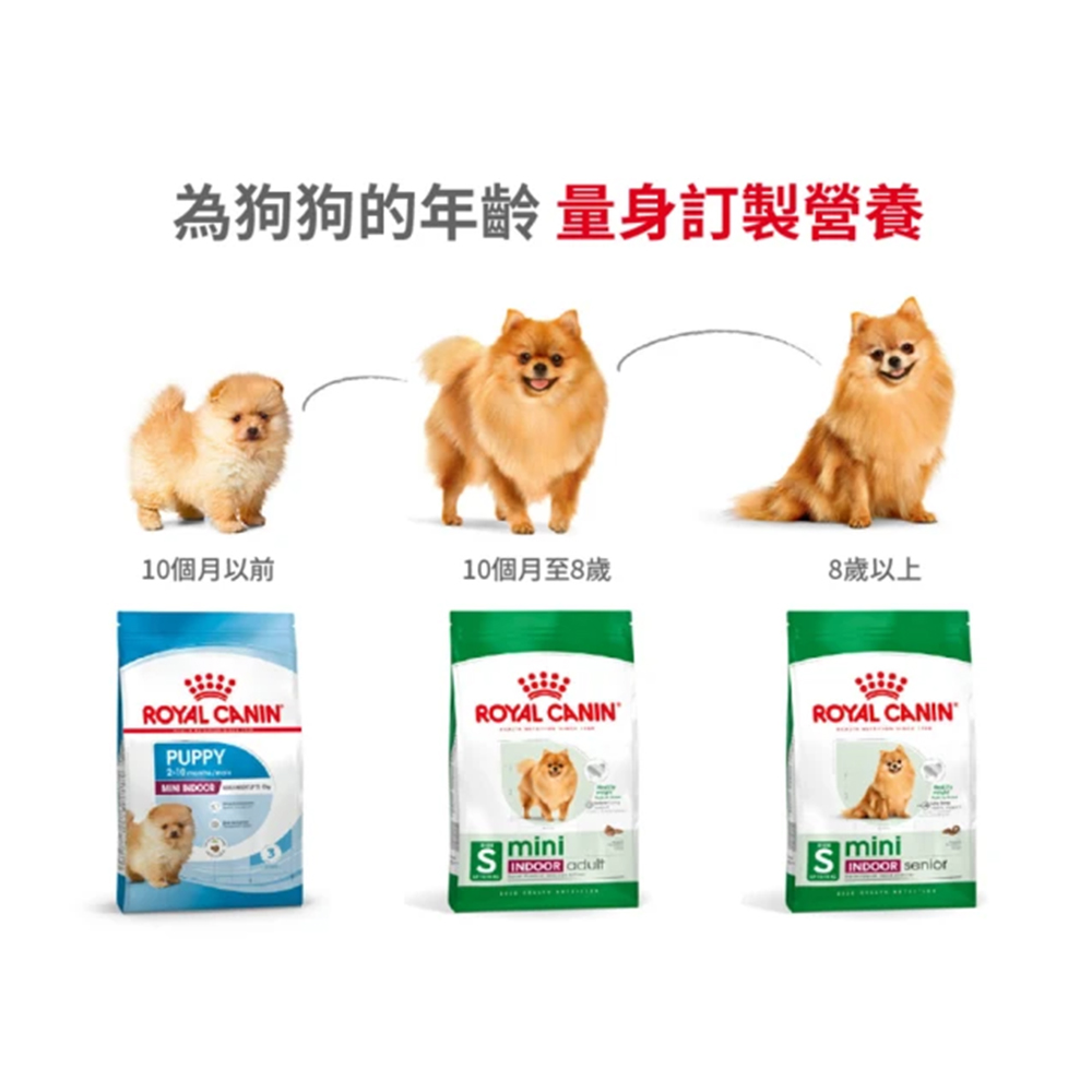 【Royal Canin法國皇家】小型室內成犬MNINA, , large