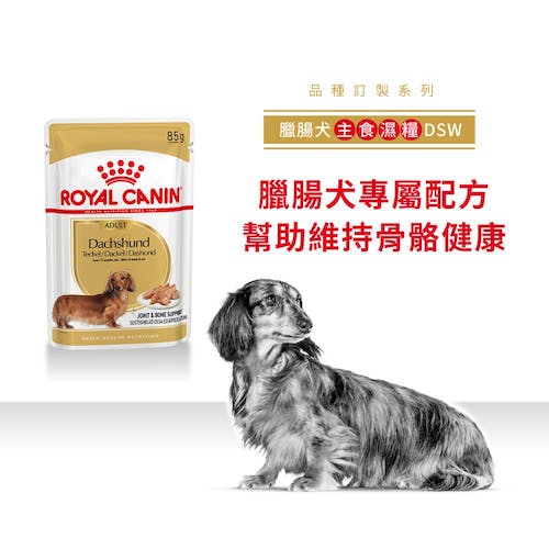 Royal Canin, , large