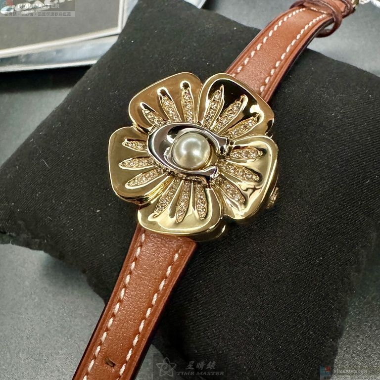 [TIMEMASTER] COACH watch, 28mm, CH00210, , large