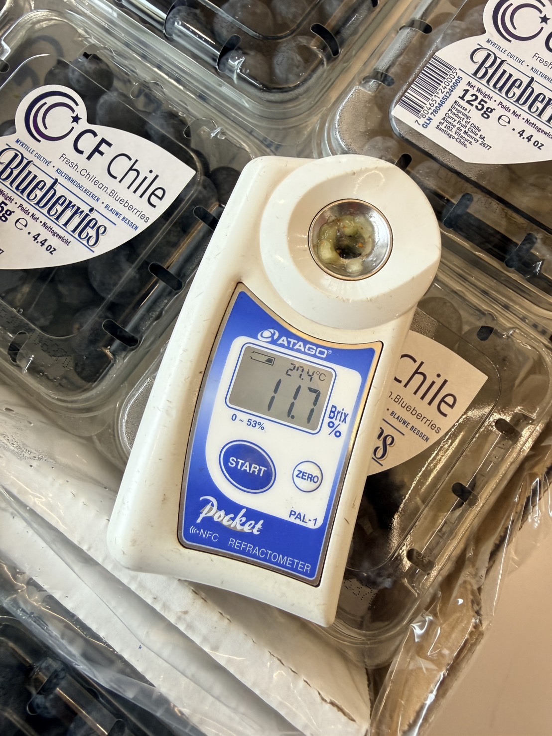 [芯鮮果]智利進口(  藍莓 ), , large