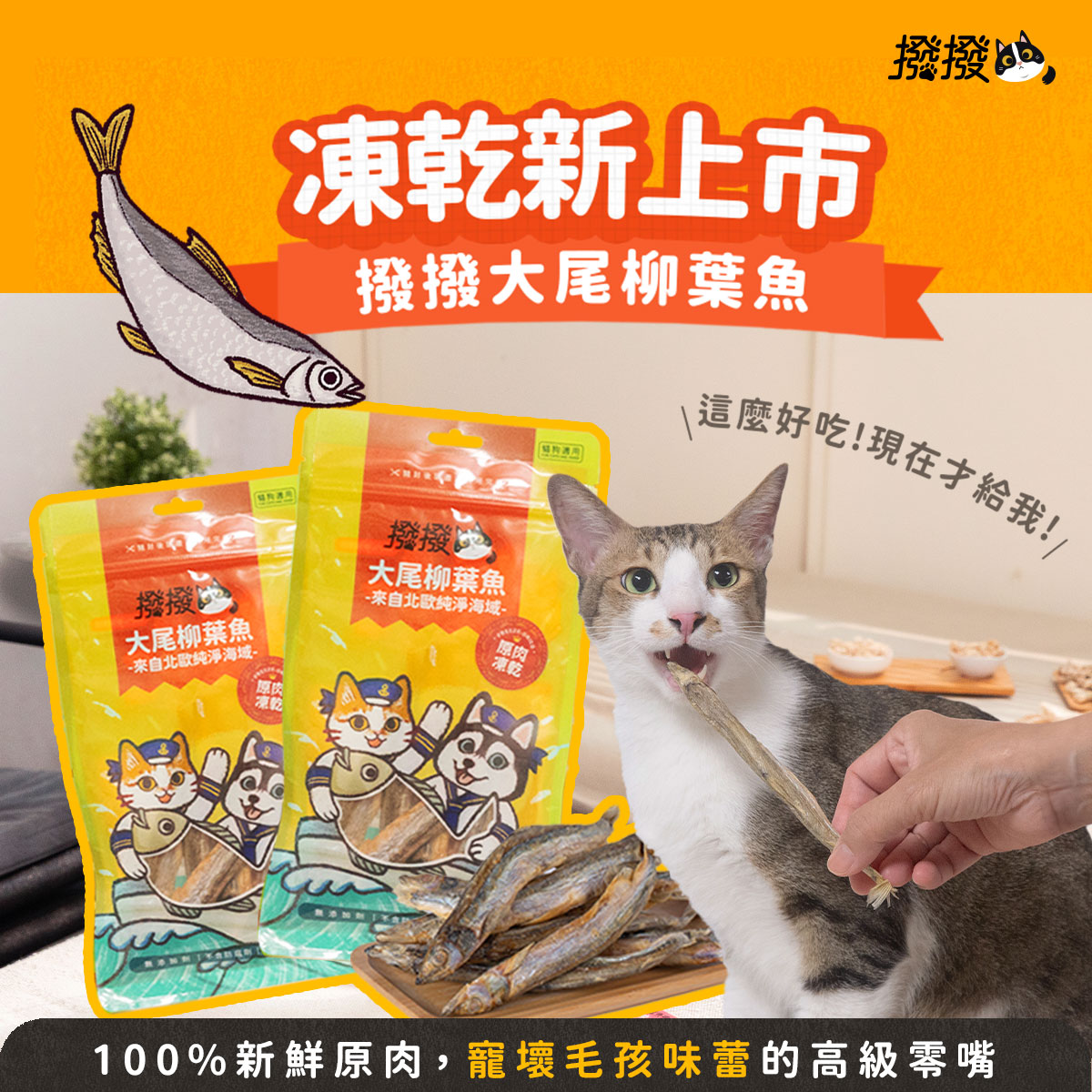 【撥撥】大尾柳葉魚-來自北歐純淨海域，貓狗適用原肉凍乾｜每包40g, , large