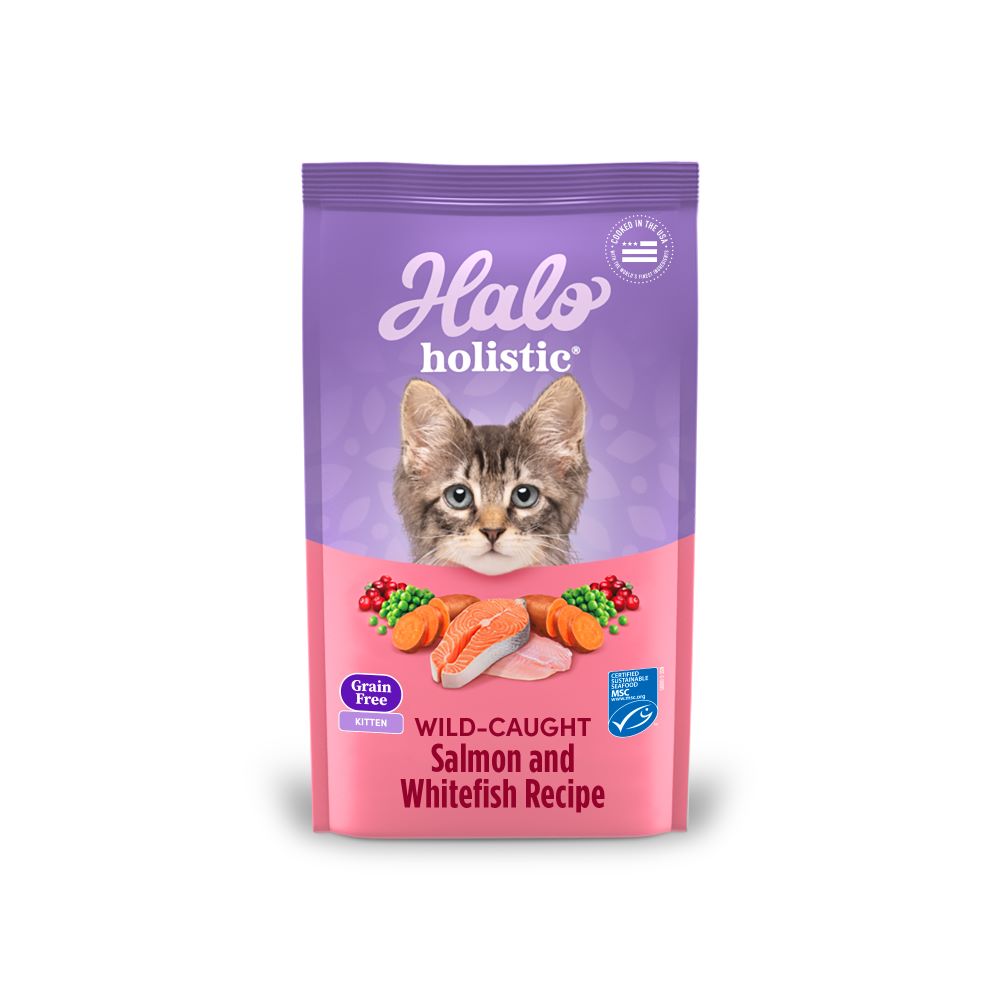 HALO, , large