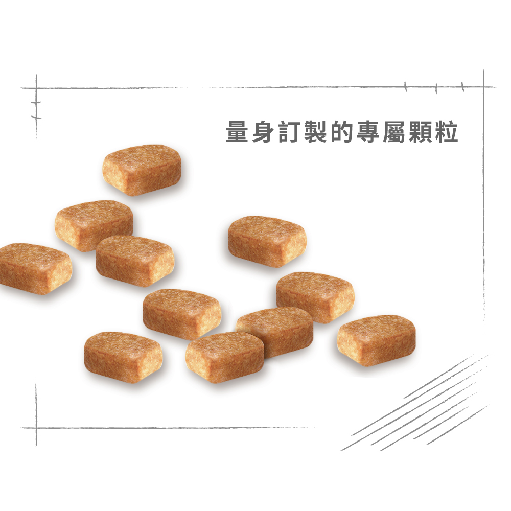 Royal Canin Chihuahua Puppy CHP, , large