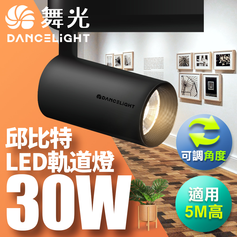 DanceLight dance light 30W Cupid track light, one-piece, easy to install, long tube type, fashionable white (white light), , large