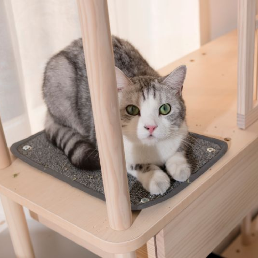 【paipaipets】Cat Scratching Cloth (2/set)(For Cat Tree), , large